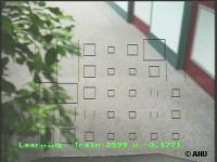 Robot's view